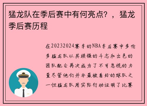 猛龙队在季后赛中有何亮点?,猛龙季后赛历程