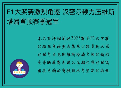 F1大奖赛激烈角逐 汉密尔顿力压维斯塔潘登顶赛季冠军